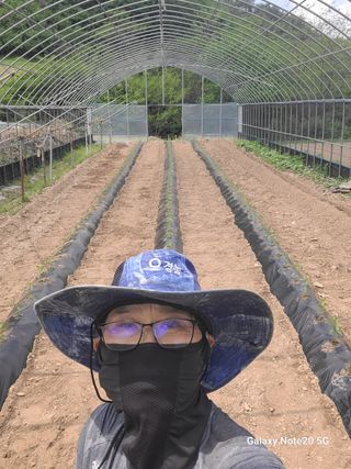 탄이네님의 고추 · 영농일지 작성글 사진
