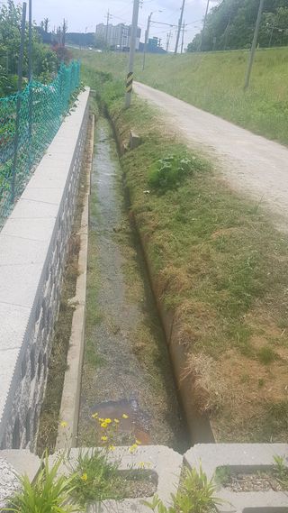 최춘득 청대산 님의 감자 · 영농일지 작성글 사진
