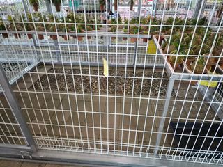 윤의용님의 기타작물 · 영농일지 작성글 사진