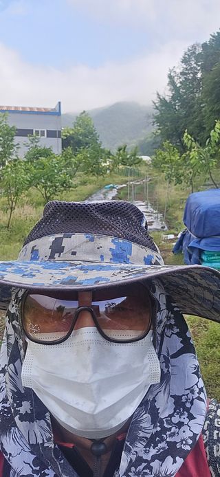 돌복숭아님의 기타작물 · 영농일지 작성글 사진