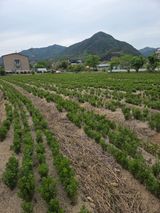 최동수님의 작성글 사진
