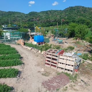 正覺님의 기타작물 · 영농일지 작성글 사진