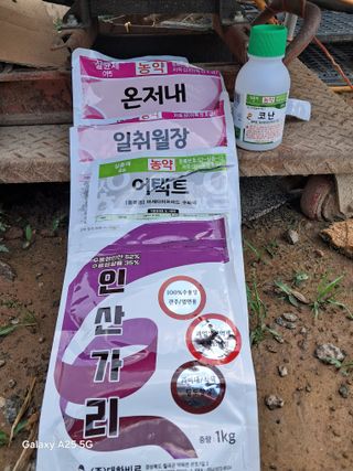 귤21628님의 기타작물 · 영농일지 작성글 사진