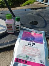 팜모닝 기타작물·영농일지 게시글 이미지