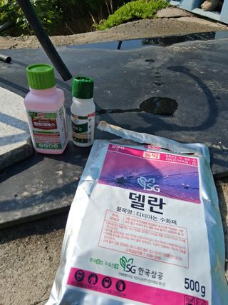 류남열님의 기타작물 · 영농일지 작성글 사진
