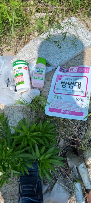 김 연님의 기타작물 · 영농일지 작성글 사진