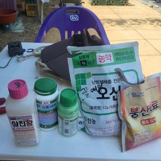 신명호님의 포도 · 영농일지 작성글 사진