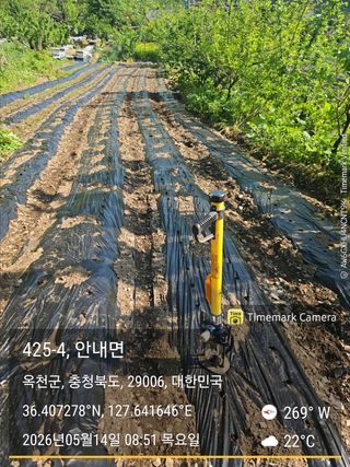 찔레골 양봉 농원님의 참깨 · 영농일지 작성글 사진