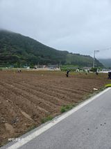 팜모닝회원 바이크농원님의 작성글 사진