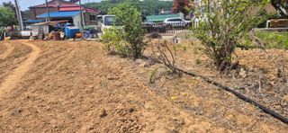 양홍주님의 고추 · 영농일지 작성글 사진