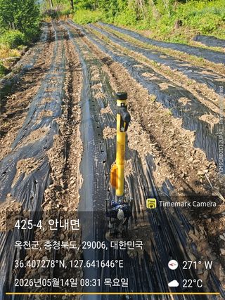 찔레골 양봉 농원님의 참깨 · 영농일지 작성글 사진