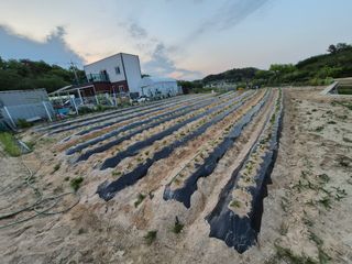 김용민님의 작성글 사진