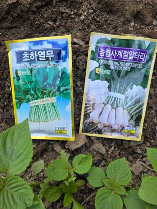 오케바리(옥경종)님의 작성글 사진
