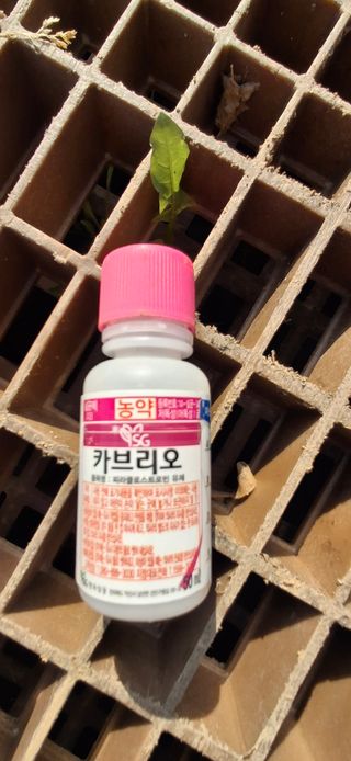 홍순철님의 벼 · 영농일지 작성글 사진