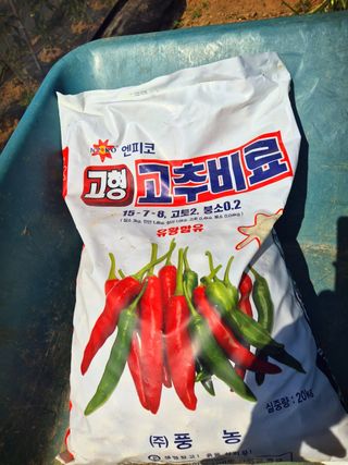 오이8898황산면님의 고추 · 영농일지 작성글 사진