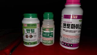 김중달님의 자두 · 영농일지 작성글 사진