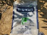 꿀복이농장님의 작성글 사진