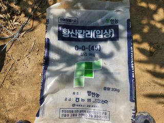 꿀복이농장님의 복숭아 · 영농일지 작성글 사진