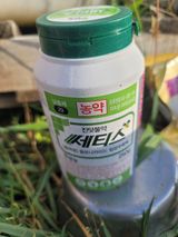 모꼬지농원님의 작성글 사진
