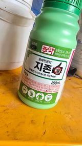 팜모닝 기타작물·영농일지 게시글 이미지