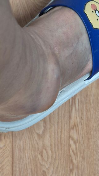 촌사리(김정대)님의 기타작물 · 영농일지 작성글 사진