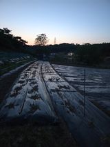 藝園님의 작성글 사진