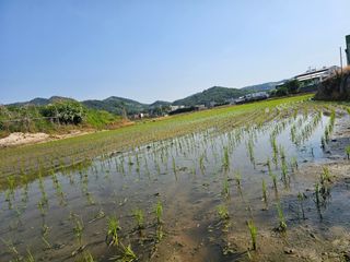 넥스젠님의 작성글 사진