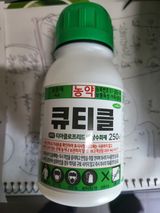안병윤님의 작성글 사진