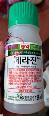 kia1588님의 작성글 사진