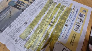 촌사리(김정대)님의 기타작물 · 영농일지 작성글 사진