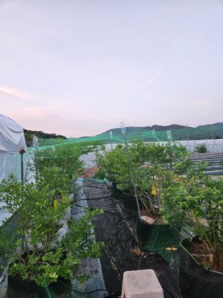 김재현님의 작성글 사진