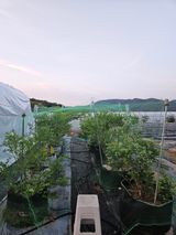 김재현님의 작성글 사진