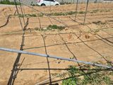 정서연님의 작성글 사진