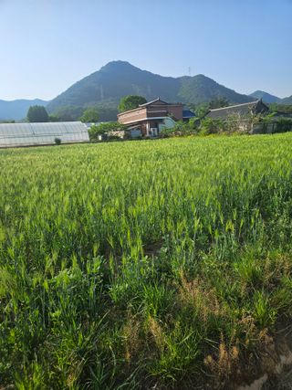 용균식님의 작성글 사진