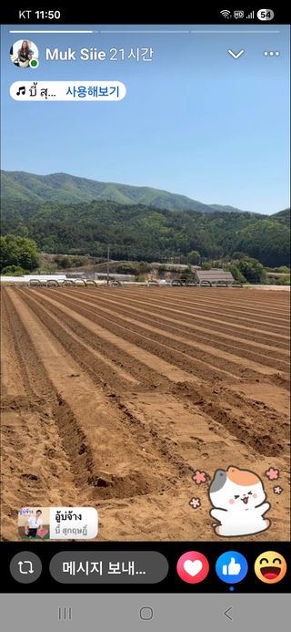김성영님의 오이 · 영농일지 작성글 사진