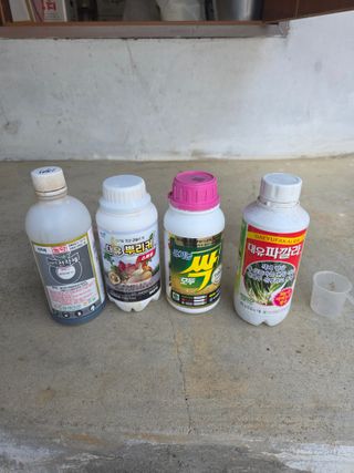 오케바리(옥경종)님의 마늘 · 영농일지 작성글 사진