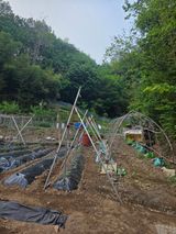오케바리(옥경종)님의 작성글 사진