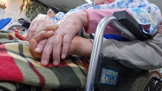 축복의땅 에덴동산님의 기타작물 · 영농일지 작성글 사진