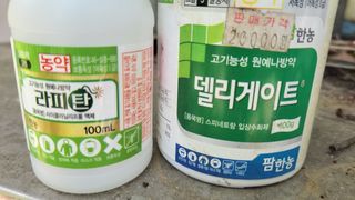 매실24738님의 작성글 사진