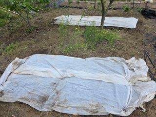 오케바리(옥경종)님의 기타작물 · 영농일지 작성글 사진