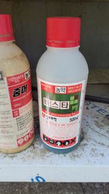매실24738님의 작성글 사진