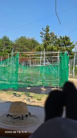 박용열조물주님 님의 작성글 사진