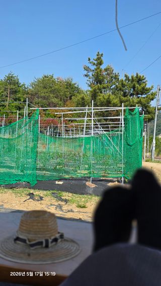 박용열조물주님 님의 기타작물 · 영농일지 작성글 사진