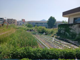김윤철님의 기타작물 · 영농일지 작성글 사진