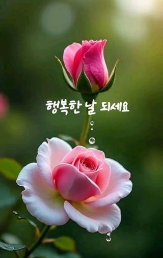 키다리님의 사과 · 영농일지 작성글 사진