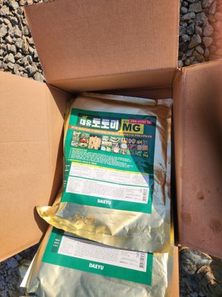 김저팔계님의 작성글 사진