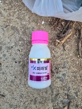 조정미님의 사과 · 영농일지 작성글 사진