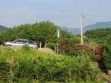 키다리님의 작성글 사진