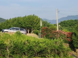 키다리님의 사과 · 영농일지 작성글 사진
