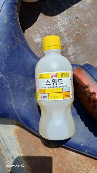 박원용님의 벼 · 영농일지 작성글 사진